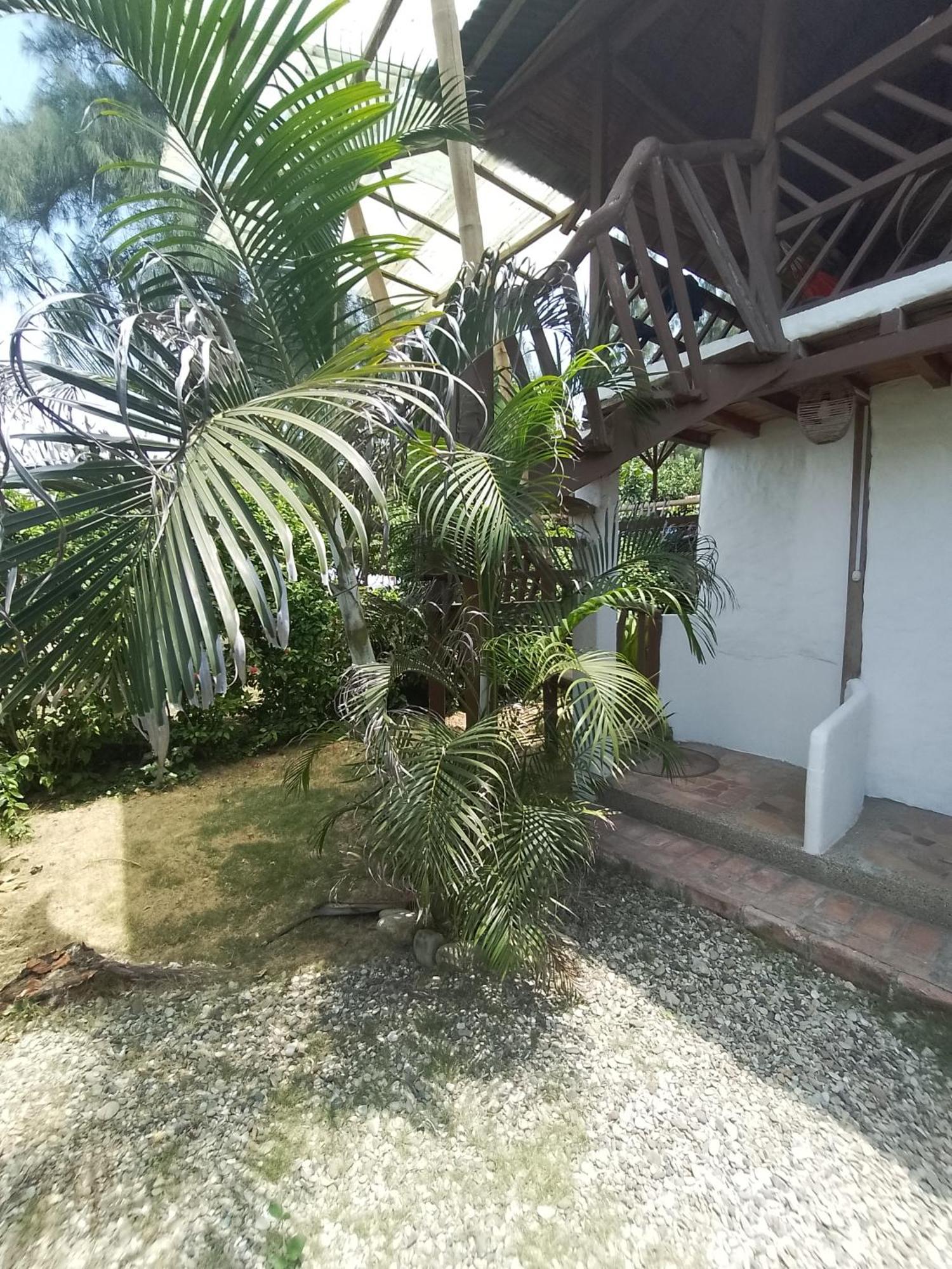 Hotel Palma Coco Ayampe Exterior photo